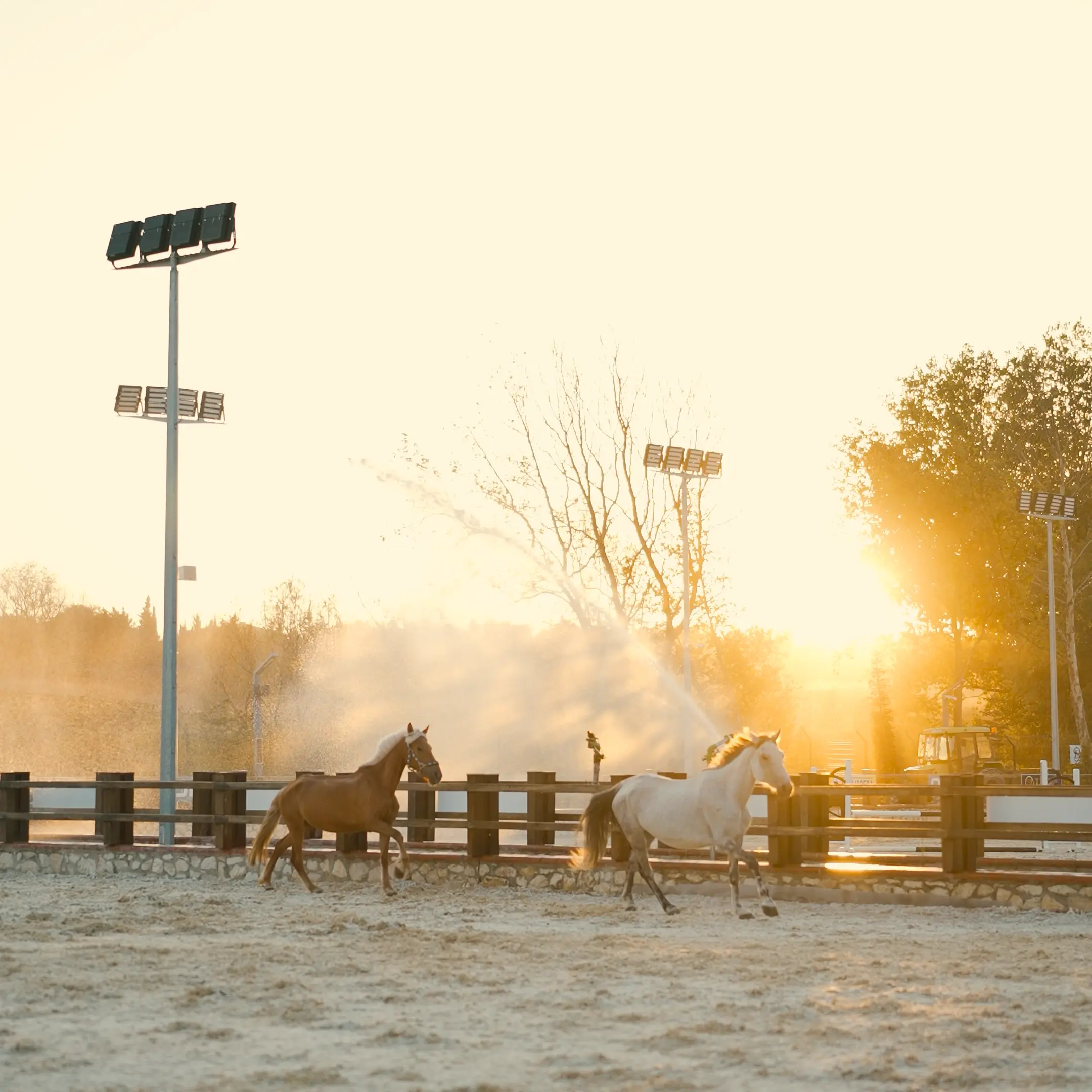 Düğün Dekorasyonu